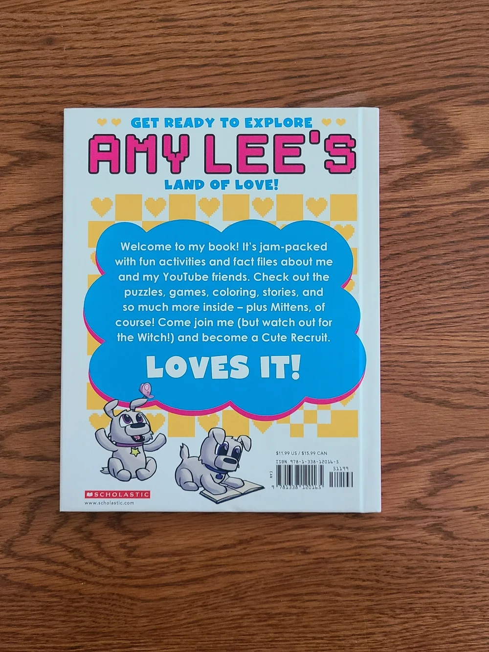 Amy Lee Magical World Activity Book